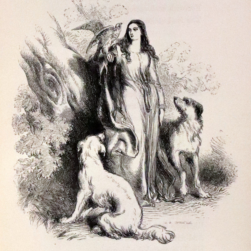 1853 Rare Book ~ Lady of the Lake by Sir Walter Scott, Illustrated by Birket Foster and John Gilbert.