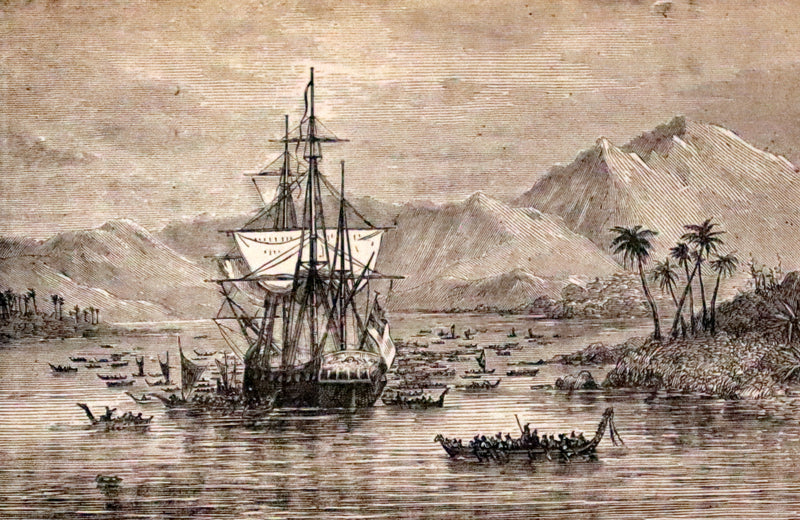 1880 Rare Victorian Book - The Cannibal Islands; Captian Cook's Adventures in the South Seas by Robert Michael Ballantyne.