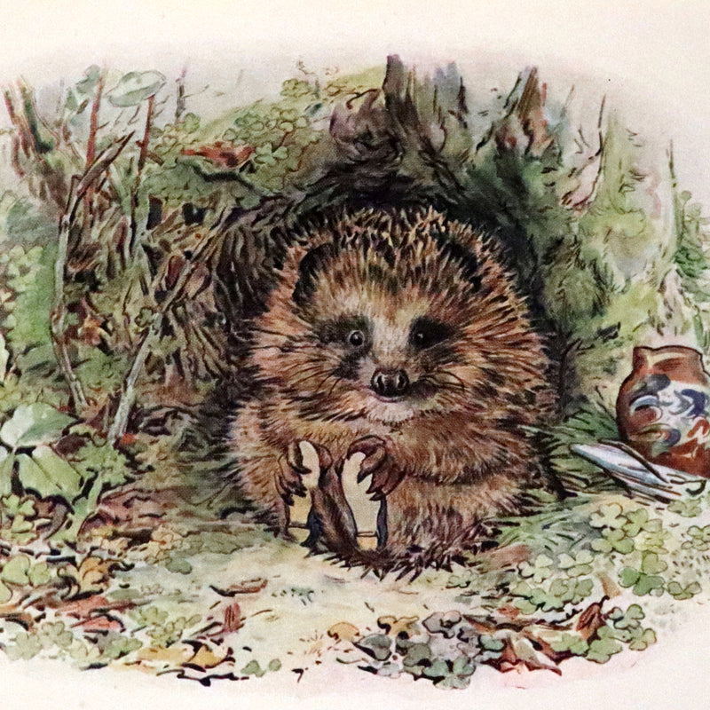 1946 Rare First Edition with Dust jacket - The Tale of Beatrix Potter, A Biography by Margaret Lane.