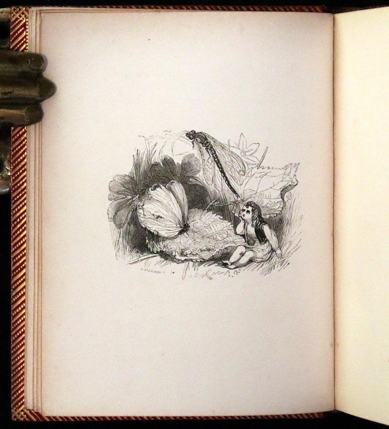 1834 Scarce First Edition - The Story Without An End by Sarah Austin illustrated by William Harvey.