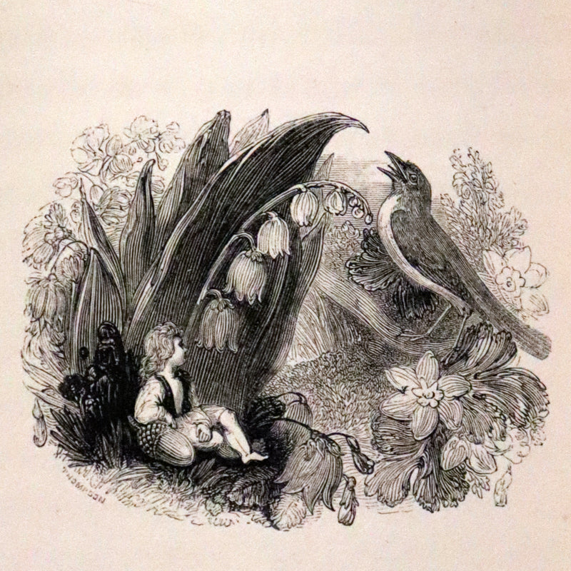 1834 Scarce First Edition - The Story Without An End by Sarah Austin illustrated by William Harvey.