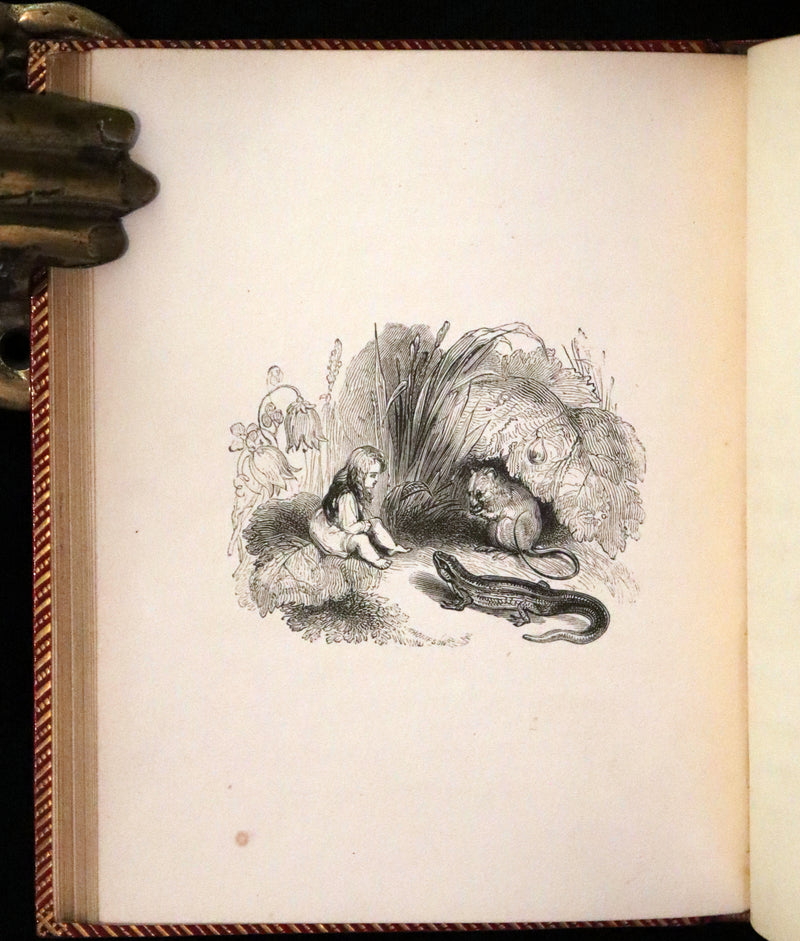 1834 Scarce First Edition - The Story Without An End by Sarah Austin illustrated by William Harvey.