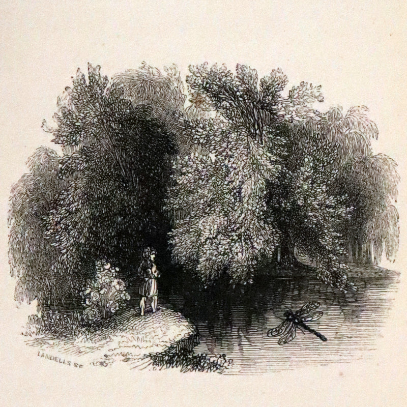 1834 Scarce First Edition - The Story Without An End by Sarah Austin illustrated by William Harvey.