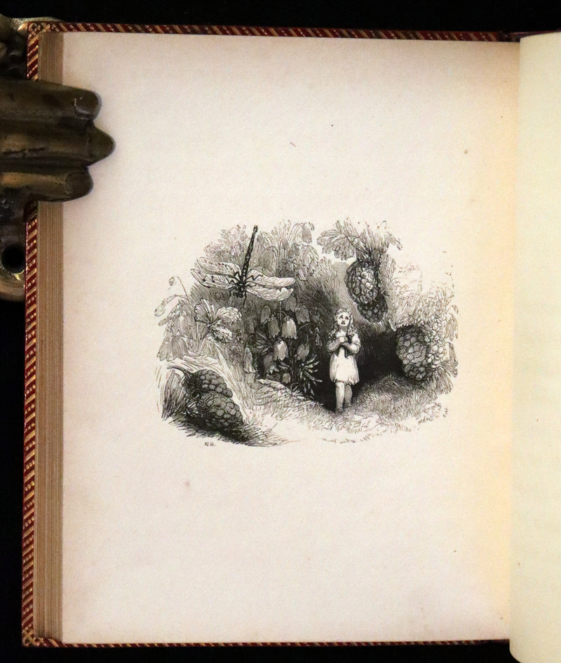 1834 Scarce First Edition - The Story Without An End by Sarah Austin illustrated by William Harvey.