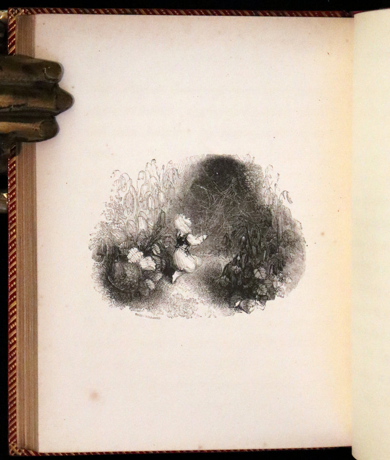 1834 Scarce First Edition - The Story Without An End by Sarah Austin illustrated by William Harvey.