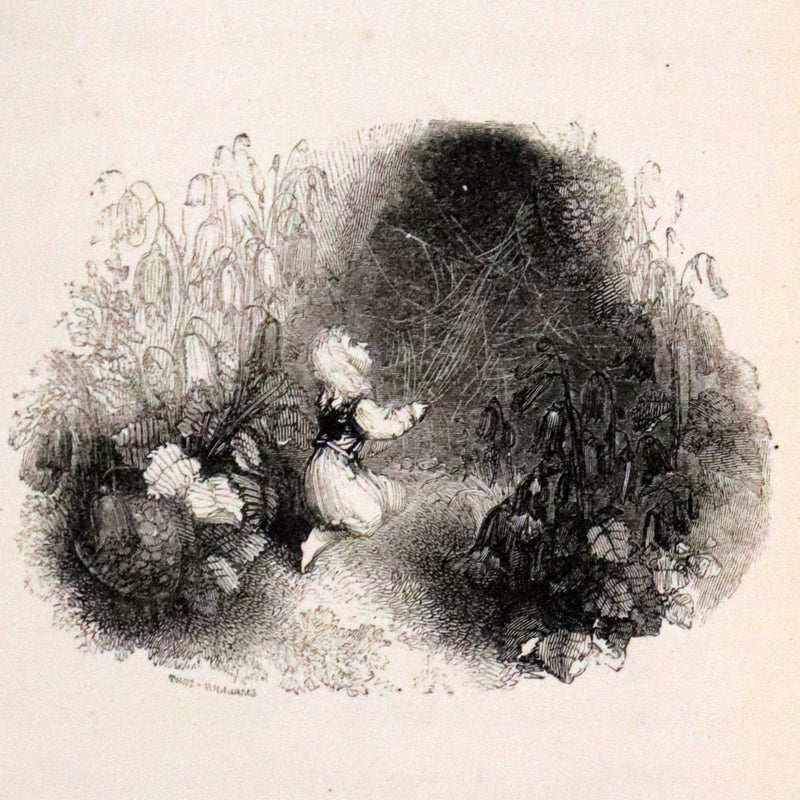 1834 Scarce First Edition - The Story Without An End by Sarah Austin illustrated by William Harvey.