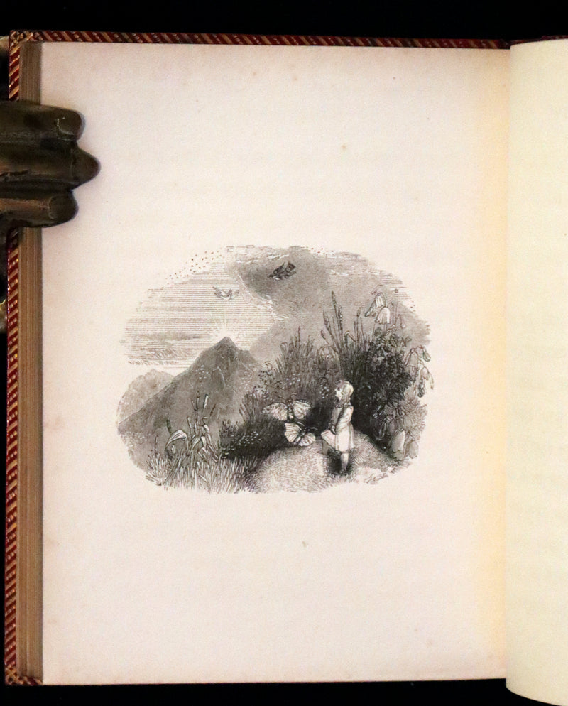 1834 Scarce First Edition - The Story Without An End by Sarah Austin illustrated by William Harvey.