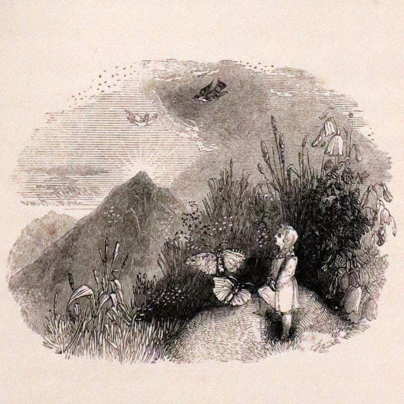 1834 Scarce First Edition - The Story Without An End by Sarah Austin illustrated by William Harvey.