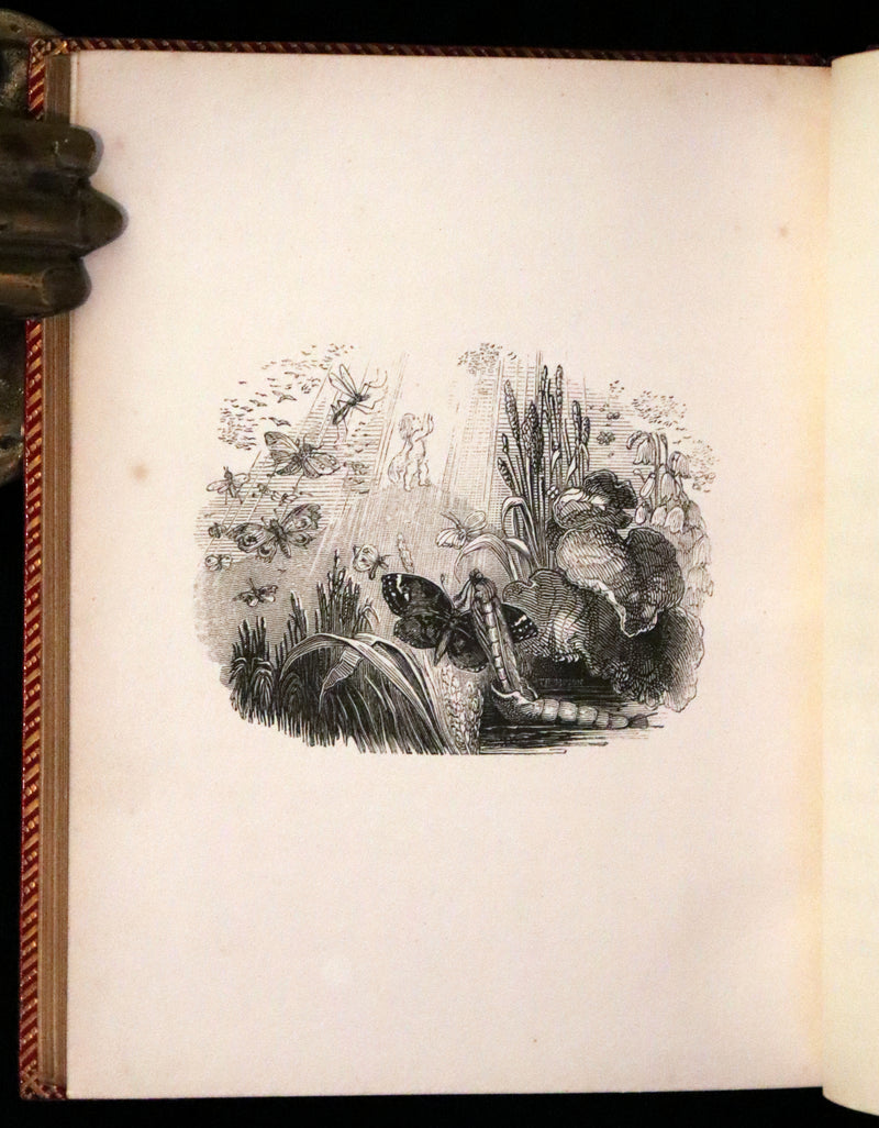 1834 Scarce First Edition - The Story Without An End by Sarah Austin illustrated by William Harvey.