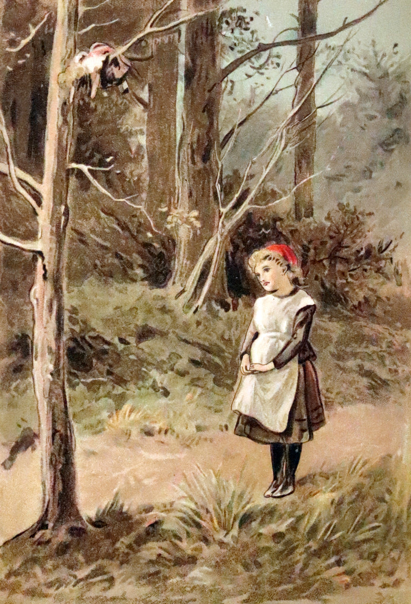 1870 Scarce Book - Hans Christian Andersen's Fairy Tales and Stories, Illustrated.