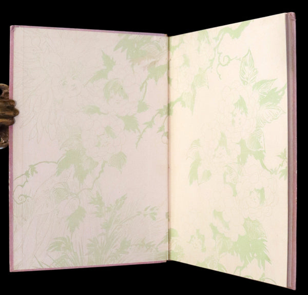 1914 Rare First Edition - The Flower Babies' Book by Anna M. Scott illustrated by "Penny" Ross.