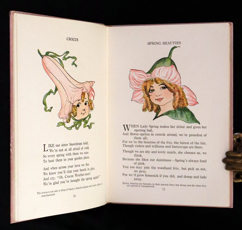 1914 Rare First Edition - The Flower Babies' Book by Anna M. Scott illustrated by "Penny" Ross.