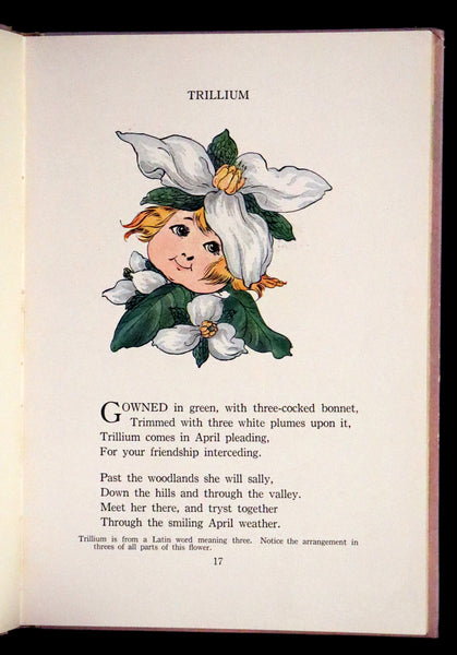 1914 Rare First Edition - The Flower Babies' Book by Anna M. Scott illustrated by "Penny" Ross.