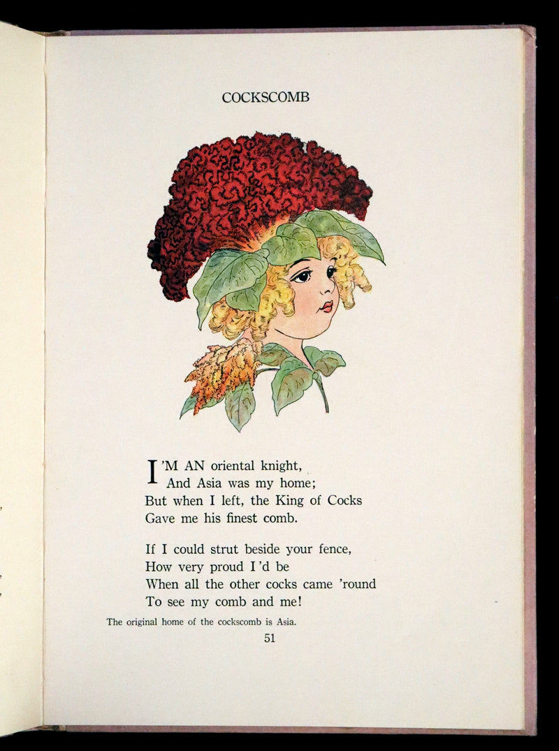 1914 Rare First Edition - The Flower Babies' Book by Anna M. Scott illustrated by "Penny" Ross.