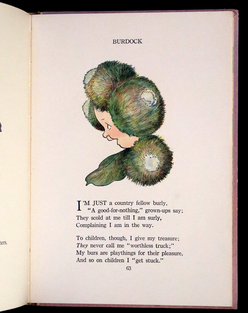 1914 Rare First Edition - The Flower Babies' Book by Anna M. Scott illustrated by "Penny" Ross.