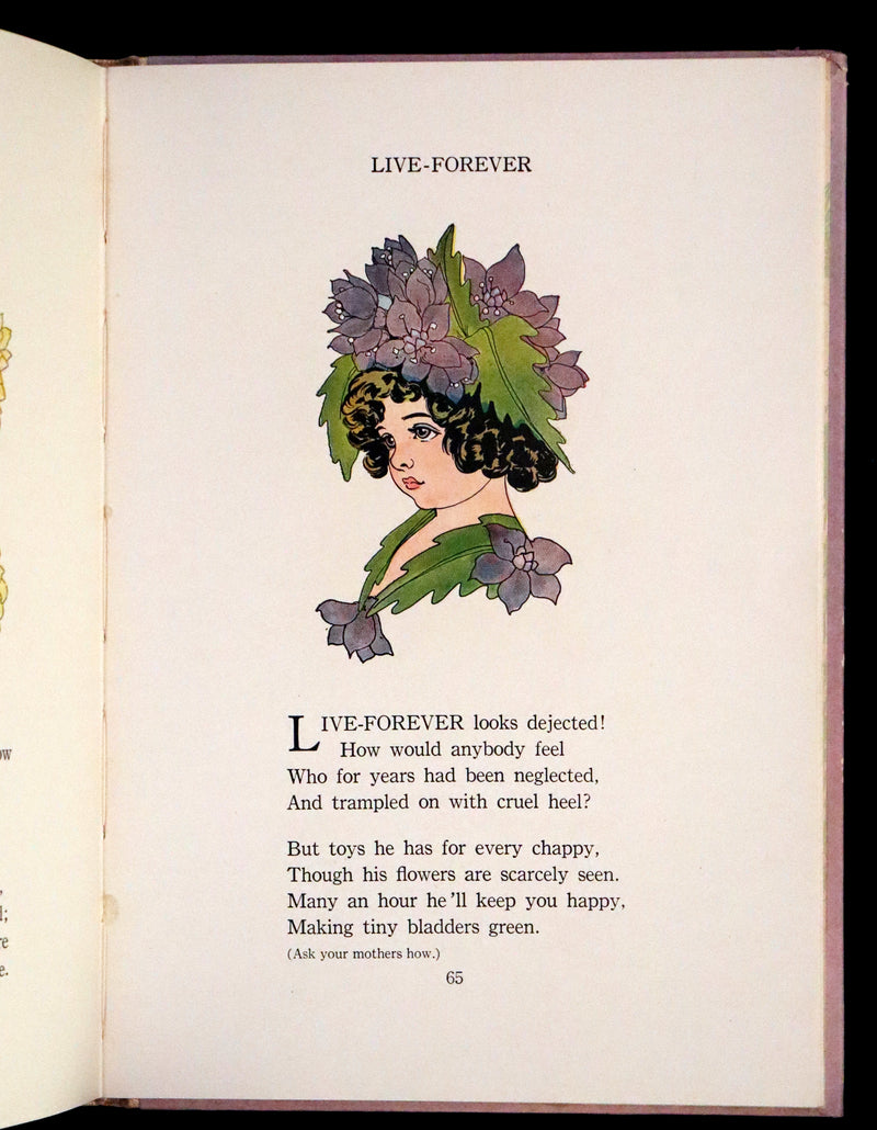 1914 Rare First Edition - The Flower Babies' Book by Anna M. Scott illustrated by "Penny" Ross.