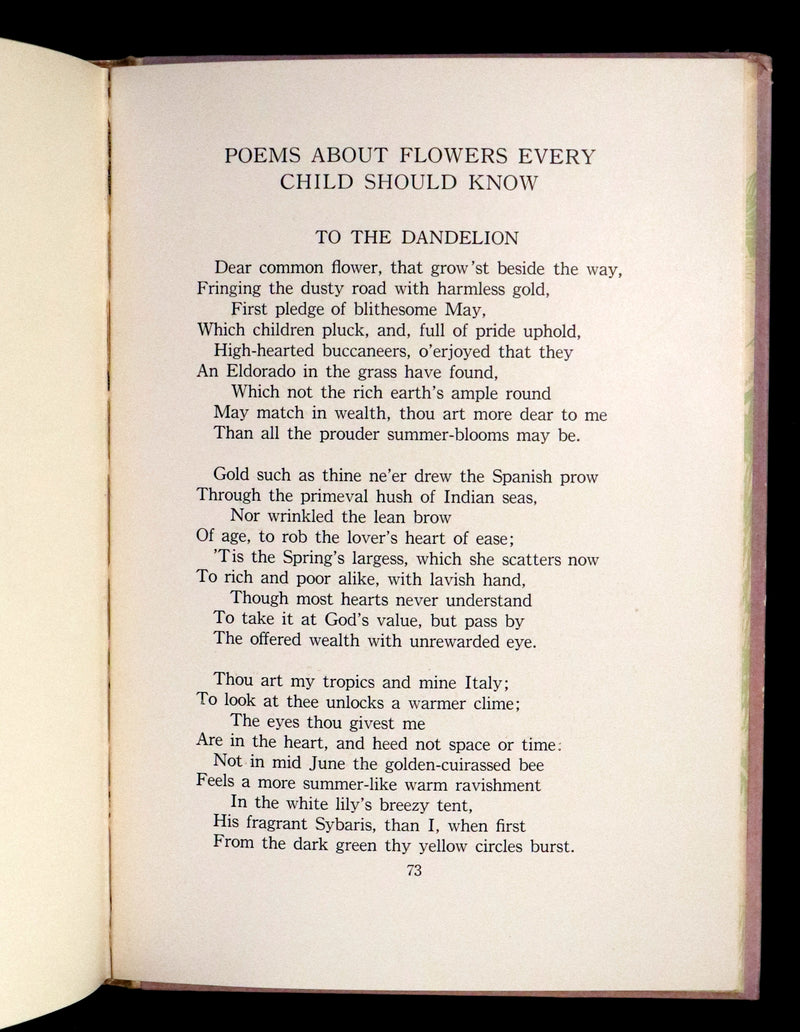 1914 Rare First Edition - The Flower Babies' Book by Anna M. Scott illustrated by "Penny" Ross.