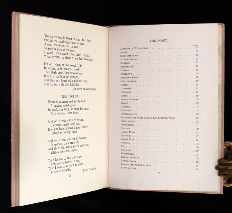 1914 Rare First Edition - The Flower Babies' Book by Anna M. Scott illustrated by "Penny" Ross.