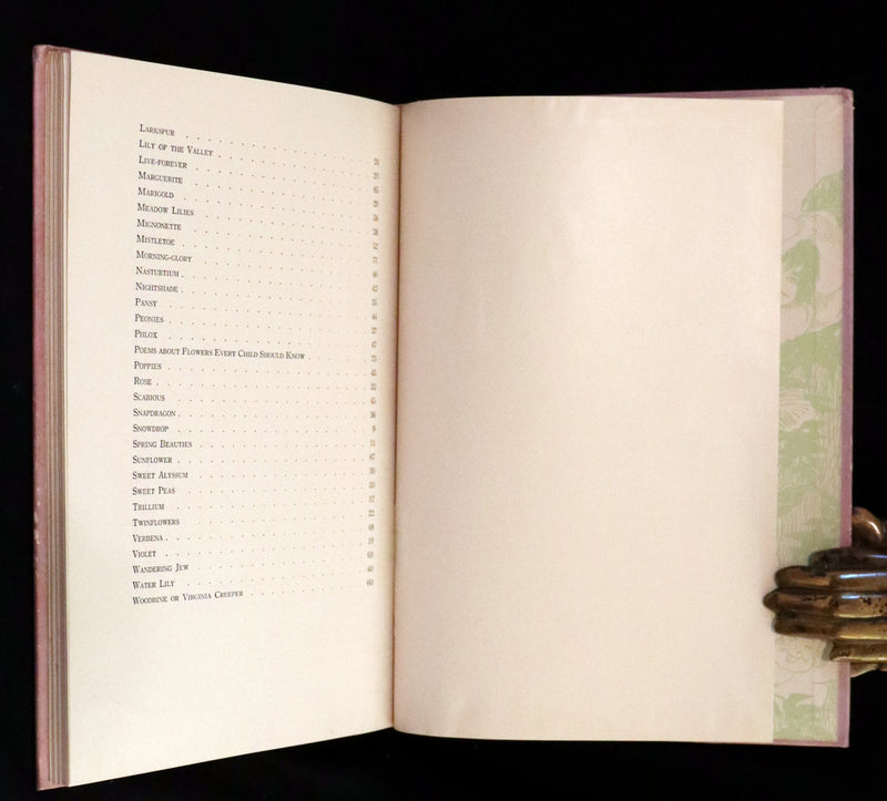 1914 Rare First Edition - The Flower Babies' Book by Anna M. Scott illustrated by "Penny" Ross.