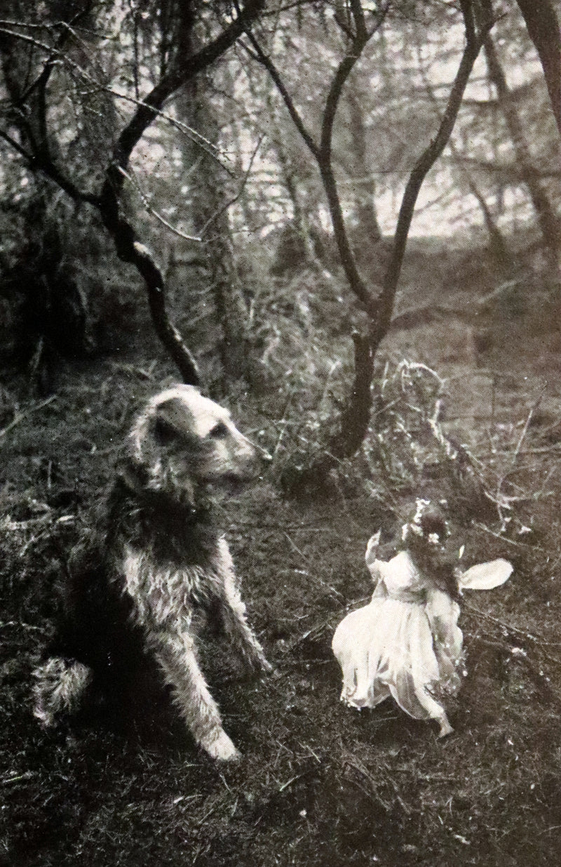 1922 Scarce Book - Finding a Fairy by Carine Cadby with photographs.