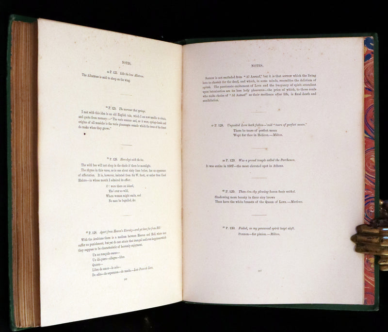 1867 Scarce Victorian Book - The Poetical Works of Edgar Allan Poe. Illustrated Edition.