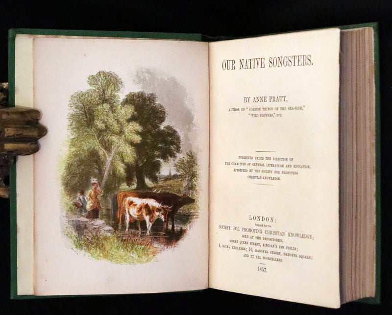 1857 Scarce Ornithology Book ~ Our Native Songsters with 72 colored plates by Anne Pratt.