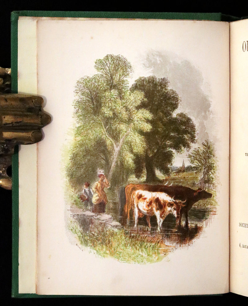 1857 Scarce Ornithology Book ~ Our Native Songsters with 72 colored plates by Anne Pratt.