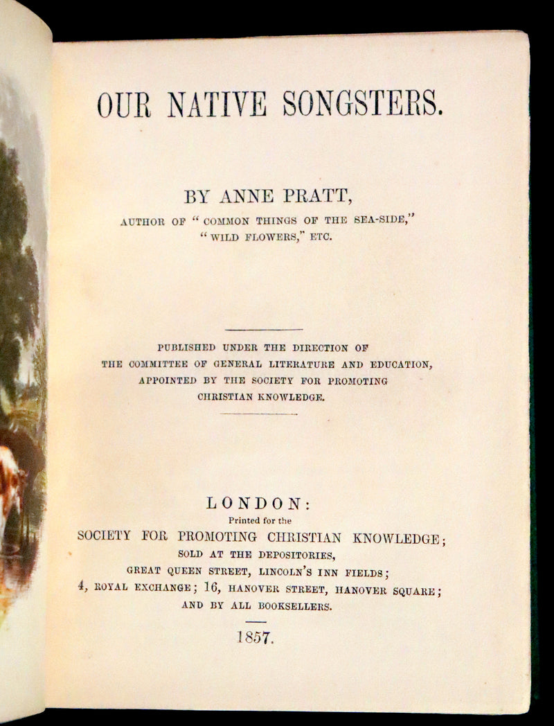 1857 Scarce Ornithology Book ~ Our Native Songsters with 72 colored plates by Anne Pratt.