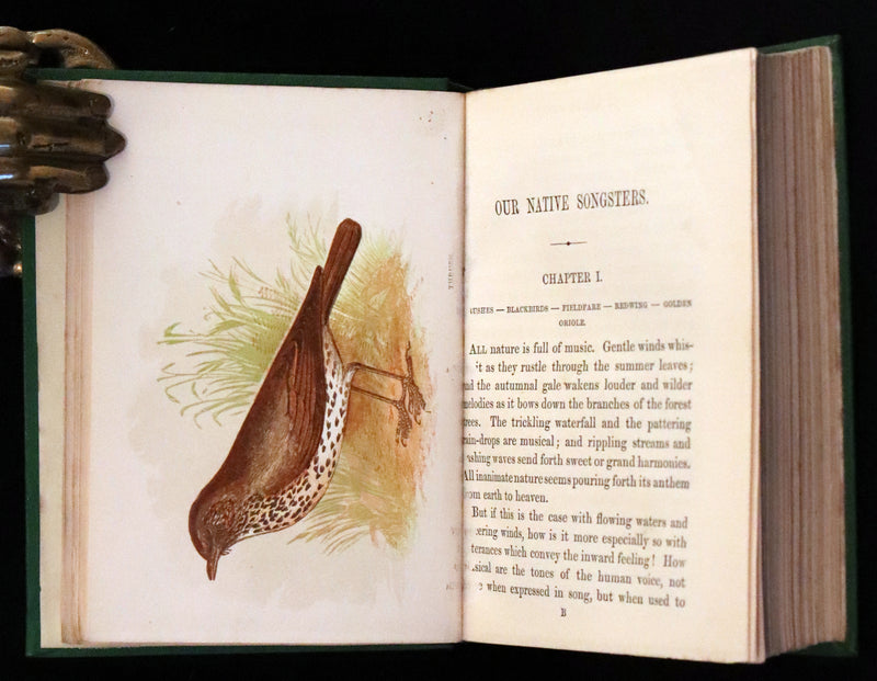 1857 Scarce Ornithology Book ~ Our Native Songsters with 72 colored plates by Anne Pratt.