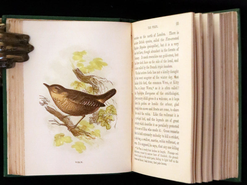 1857 Scarce Ornithology Book ~ Our Native Songsters with 72 colored plates by Anne Pratt.
