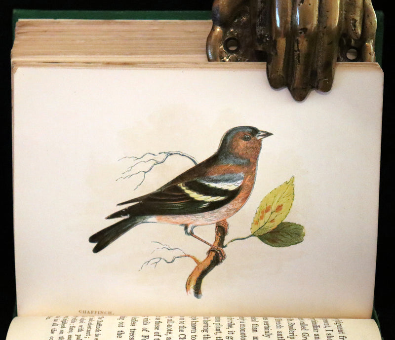 1857 Scarce Ornithology Book ~ Our Native Songsters with 72 colored plates by Anne Pratt.