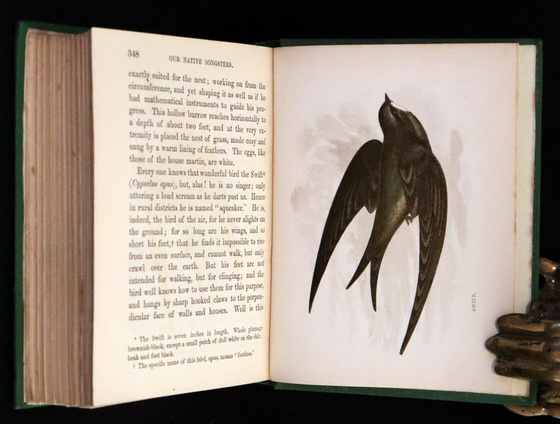 1857 Scarce Ornithology Book ~ Our Native Songsters with 72 colored plates by Anne Pratt.