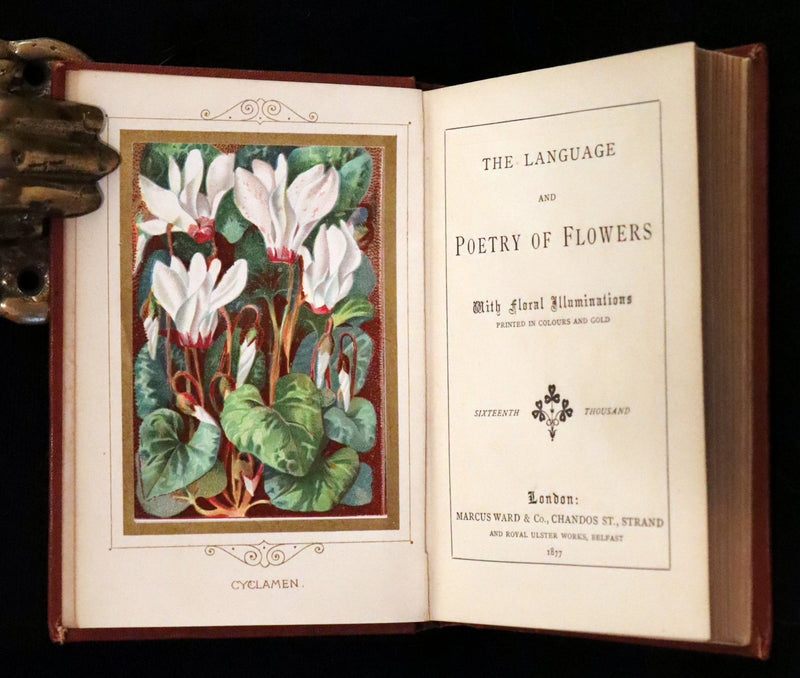1877 Scarce Floriography Book ~ The Language and Poetry of Flowers, Illustrated.