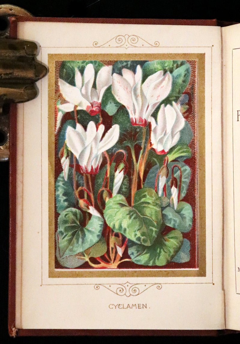 1877 Scarce Floriography Book ~ The Language and Poetry of Flowers, Illustrated.