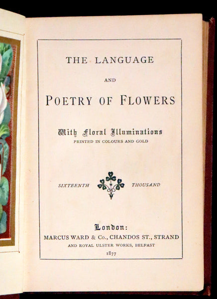 1877 Scarce Floriography Book ~ The Language and Poetry of Flowers, Illustrated.