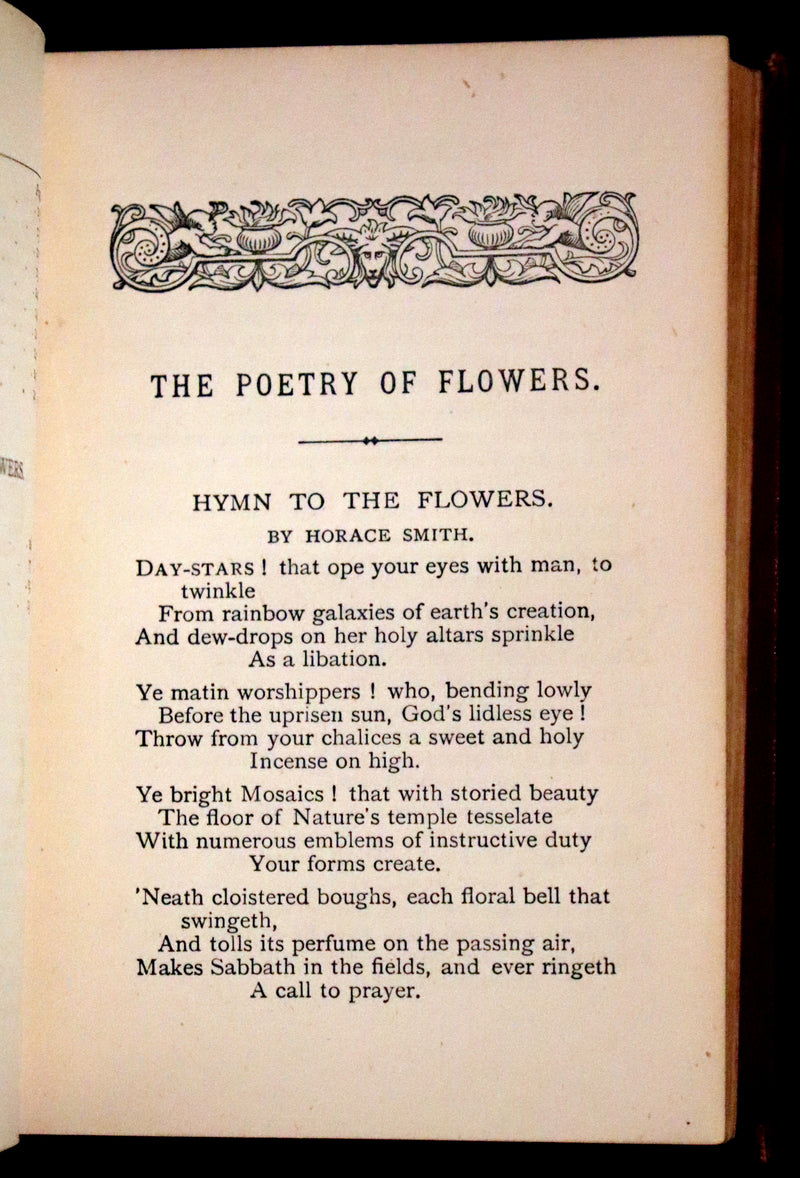 1877 Scarce Floriography Book ~ The Language and Poetry of Flowers, Illustrated.