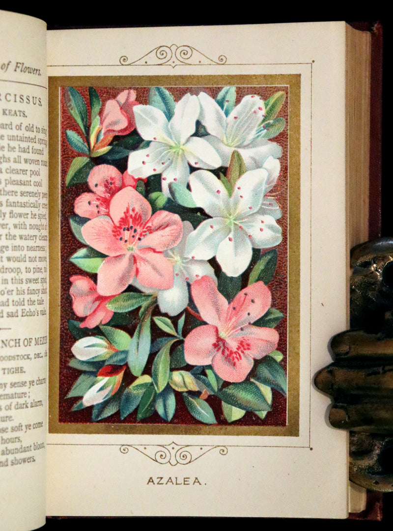 1877 Scarce Floriography Book ~ The Language and Poetry of Flowers, Illustrated.
