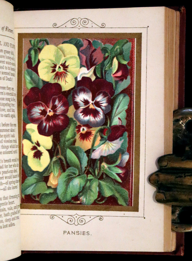 1877 Scarce Floriography Book ~ The Language and Poetry of Flowers, Illustrated.