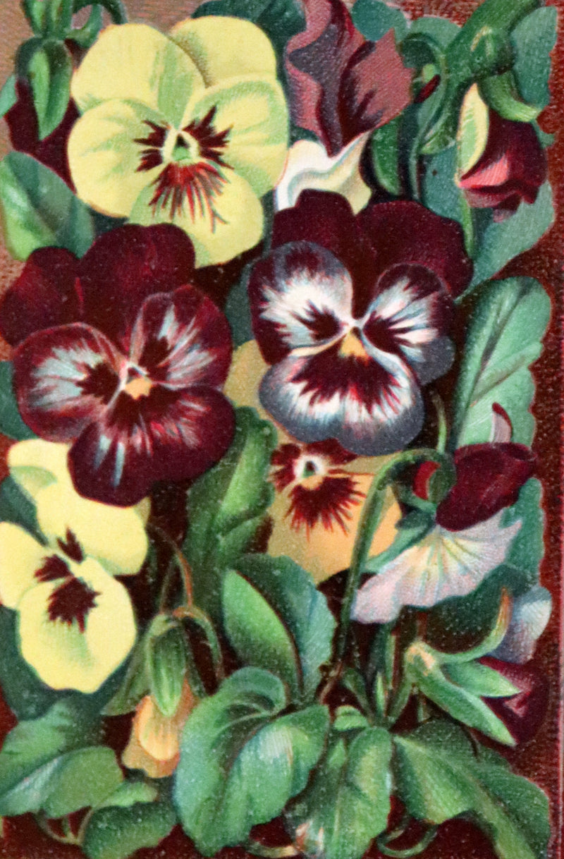 1877 Scarce Floriography Book ~ The Language and Poetry of Flowers, Illustrated.