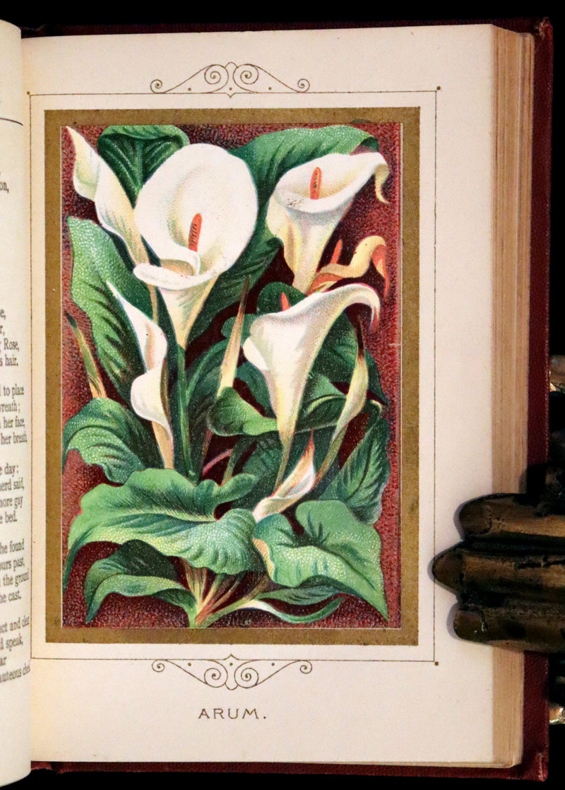 1877 Scarce Floriography Book ~ The Language and Poetry of Flowers, Illustrated.