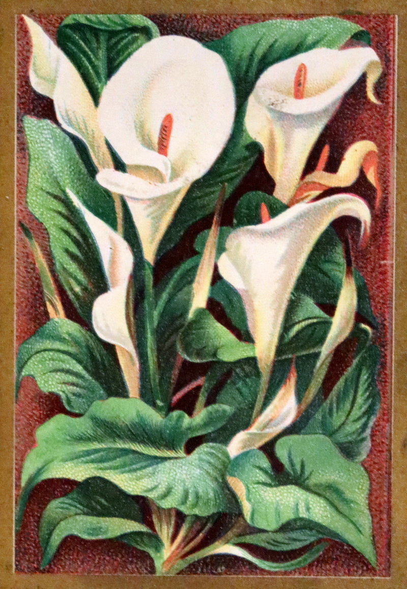 1877 Scarce Floriography Book ~ The Language and Poetry of Flowers, Illustrated.