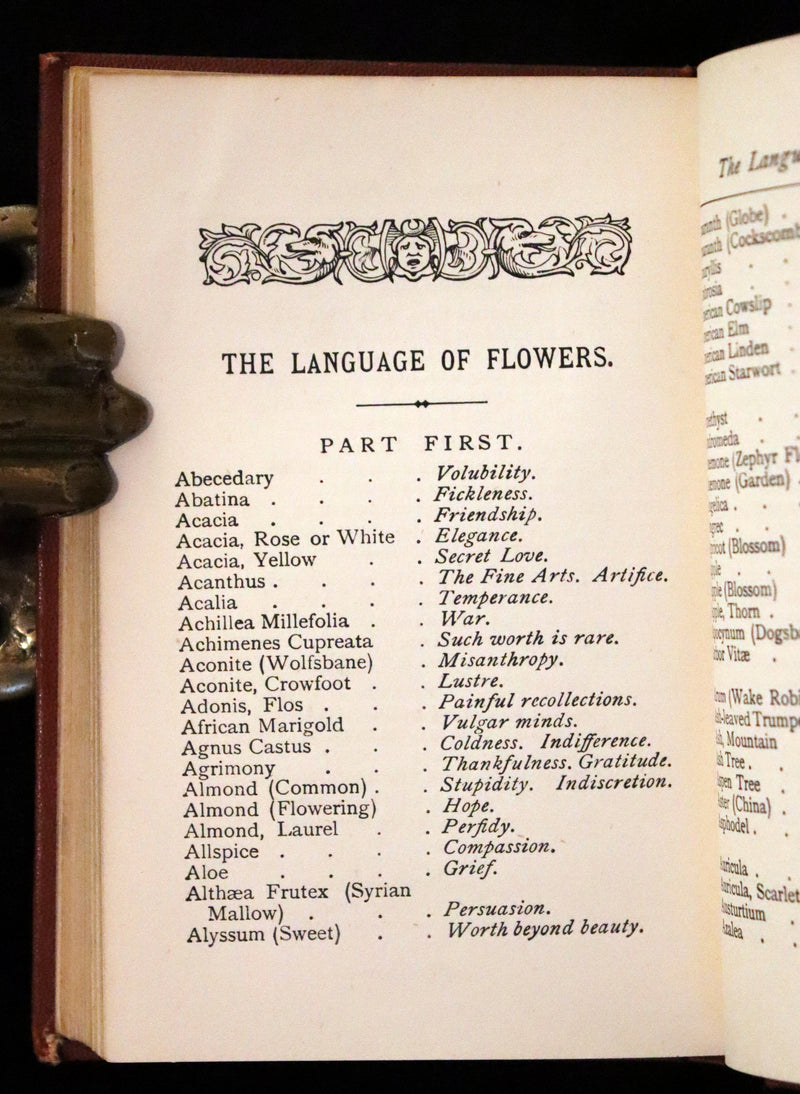 1877 Scarce Floriography Book ~ The Language and Poetry of Flowers, Illustrated.