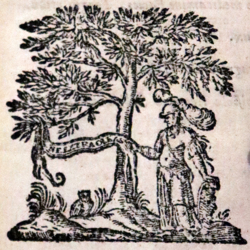 1664 Rare Latin Book set - Ovid's Works - Publii Ovidii Nasonis Operum.