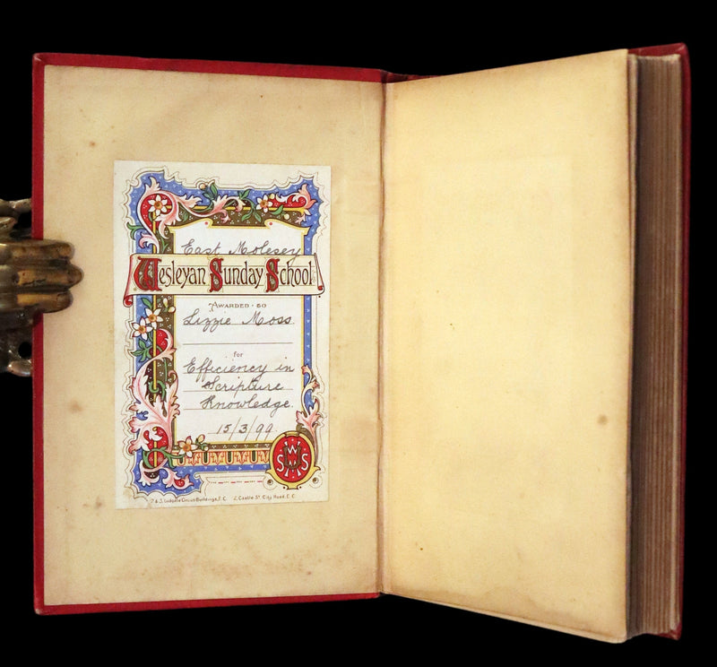 1890 Rare Victorian Book - The Madman and the Pirate by Robert Michael Ballantyne.