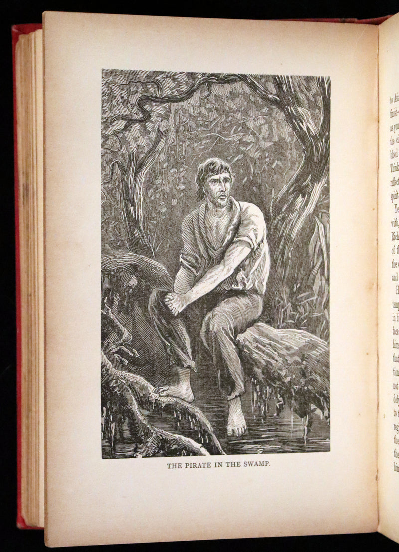 1890 Rare Victorian Book - The Madman and the Pirate by Robert Michael Ballantyne.