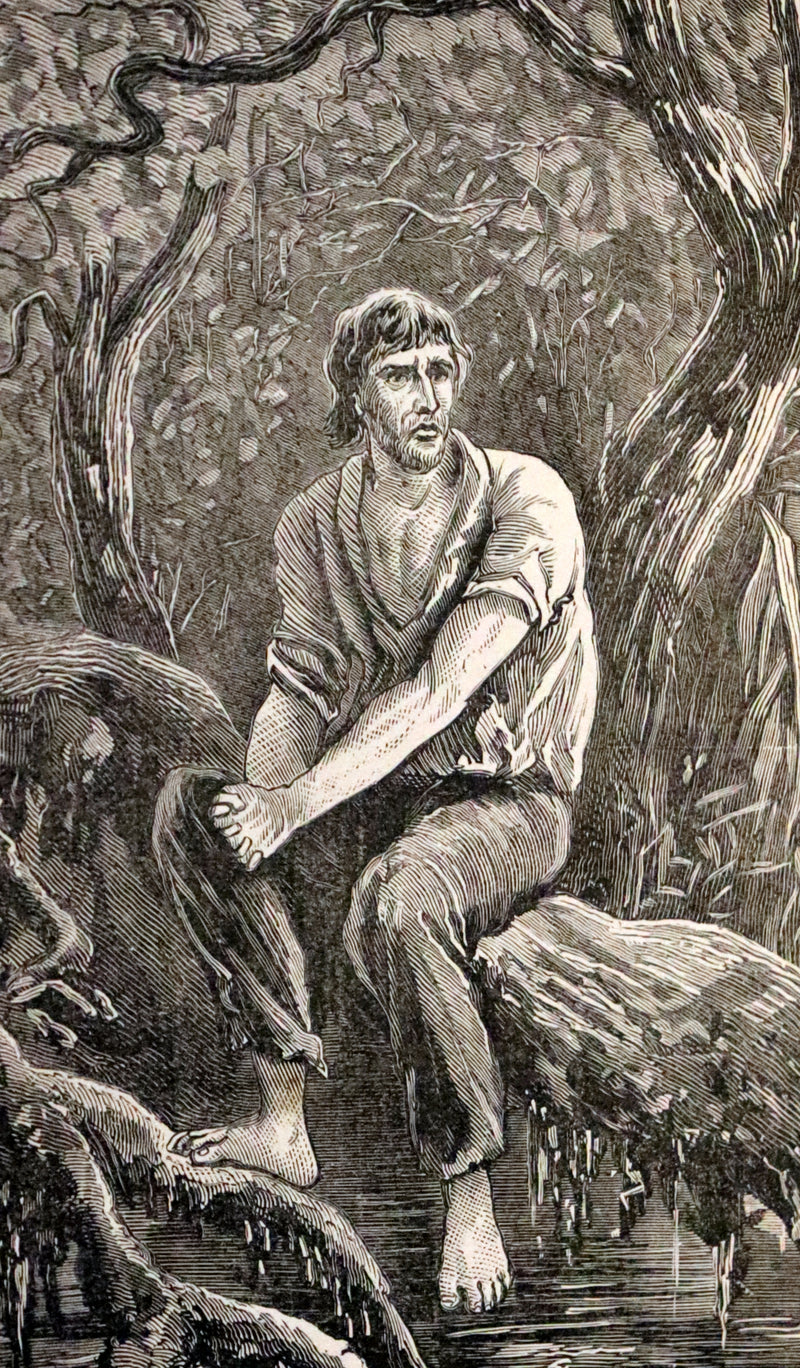 1890 Rare Victorian Book - The Madman and the Pirate by Robert Michael Ballantyne.