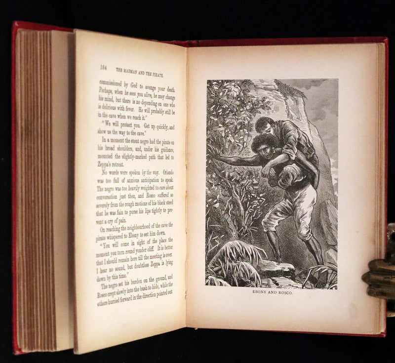 1890 Rare Victorian Book - The Madman and the Pirate by Robert Michael Ballantyne.