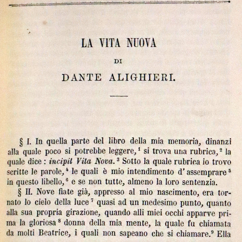 1892 Rare Italian Vellum Book bound by Giulio Giannini - La Vita Nuova di Dante Alighieri - The New Life.