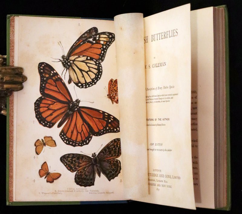 1897 Rare Victorian Book - British Butterflies, Figures and Descriptions of Every Native Species by W. S. Coleman.