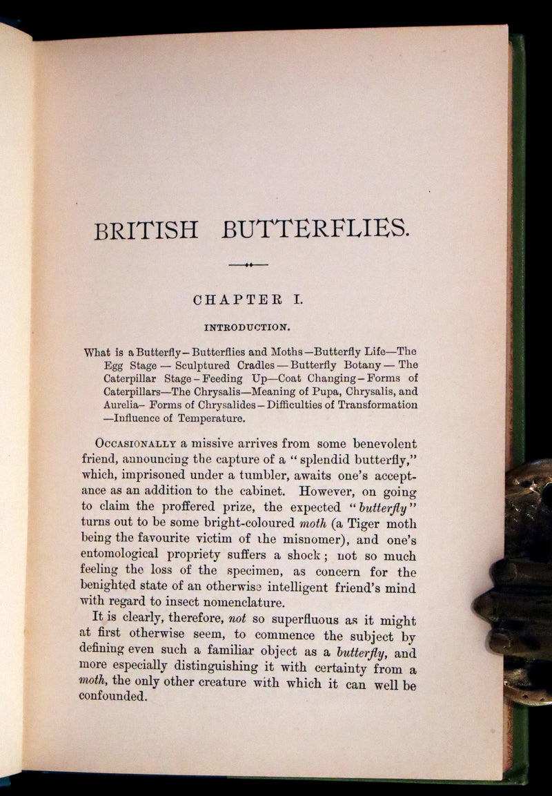 1897 Rare Victorian Book - British Butterflies, Figures and Descriptions of Every Native Species by W. S. Coleman.